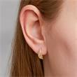 Ladies earstuds from gold-plated 925 silver zirconia