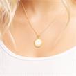 Gold-plated sterling necklace incl. pendant