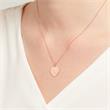 Silver Necklace Rose Incl. Heart Pendant Zirconia