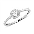 Diamond ring in 14 carat white gold